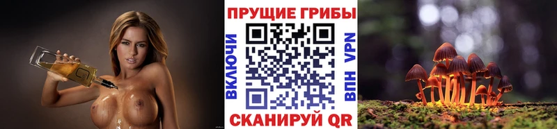 цены наркотик  Цивильск  Псилоцибиновые грибы MAGIC MUSHROOMS 